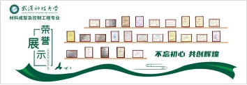 ylzz总站线路检测