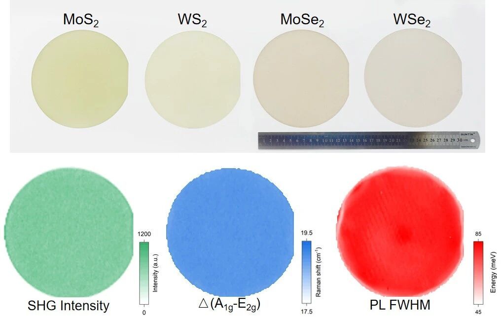 ylzz总站线路检测