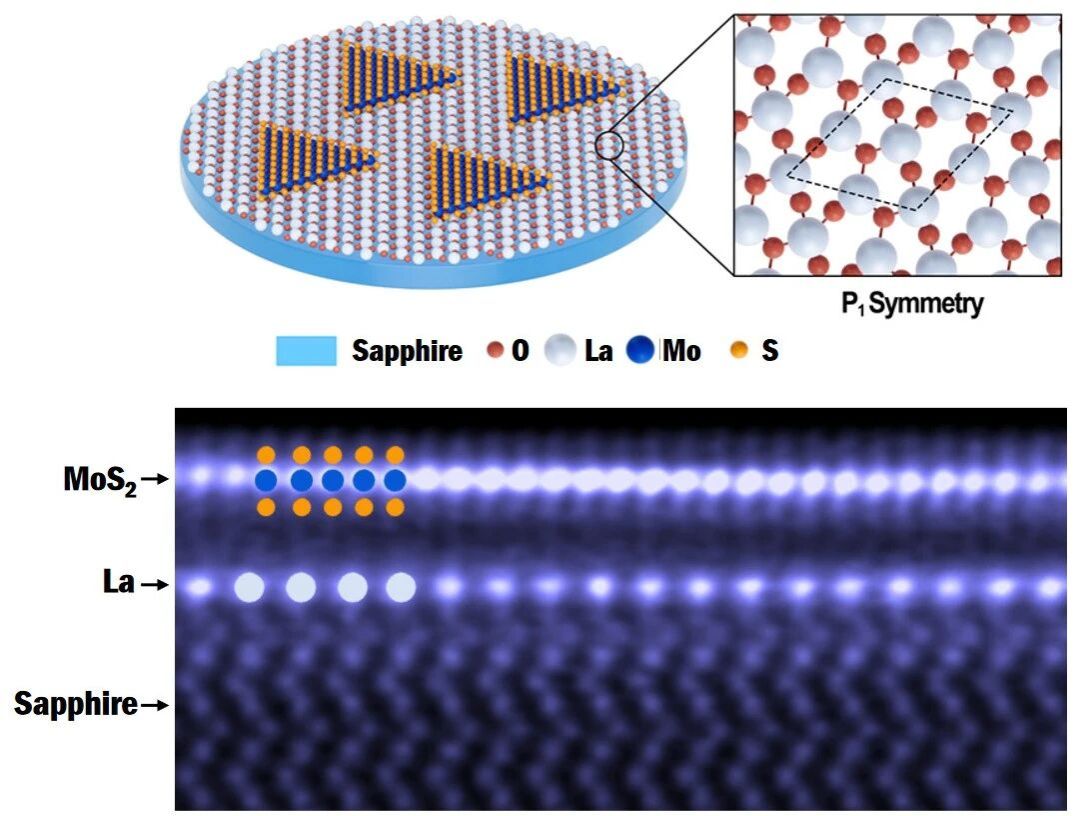 ylzz总站线路检测