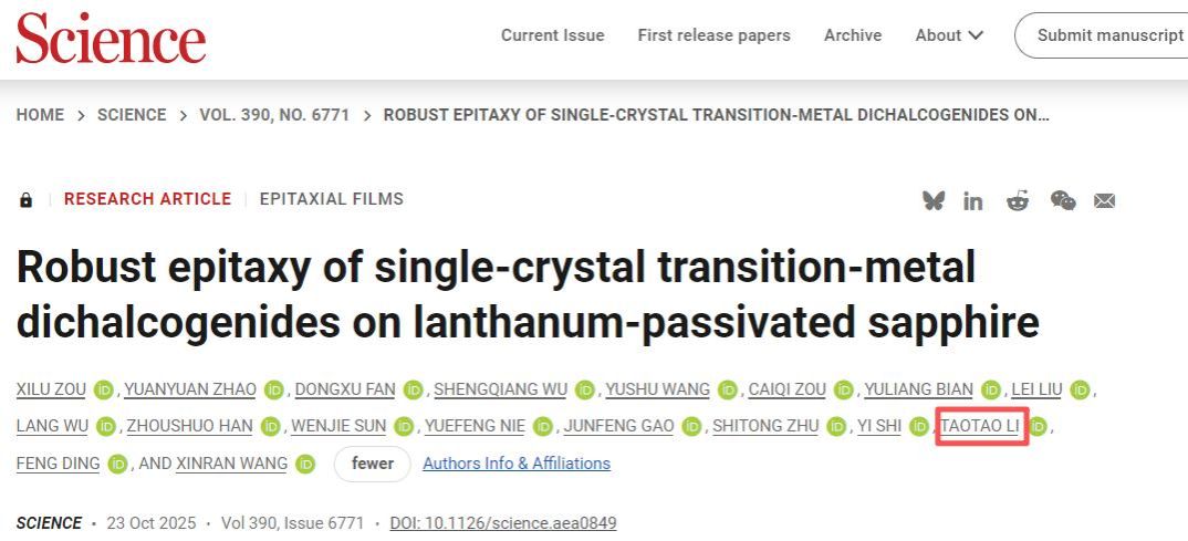 ylzz总站线路检测