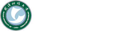 ylzz总站线路检测